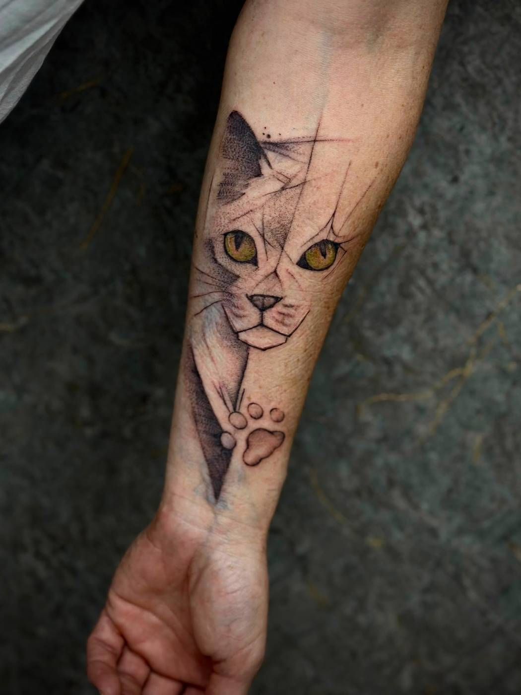 Katze mit grünen Augen, Unterarm – Lion Ink 37, Einbeck